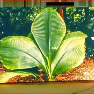ÉCRAN PUBLICITAIRE LED P10 100×100 CM ÉTANCHE VISIBLE EN PLEIN SOLEIL