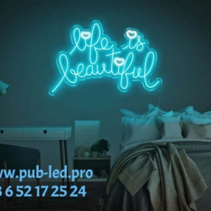 ENSEIGNE LUMINEUSE NÉON FLEX, FORMAT ADAPTÉ 55 ET 80 CM