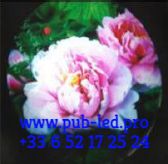 LUMINAIRE D’ENSEIGNE GOBO PUBLICITAIRE 150W ROTATIF LP150 POUR IMPACT MAXIMAL – Image 3